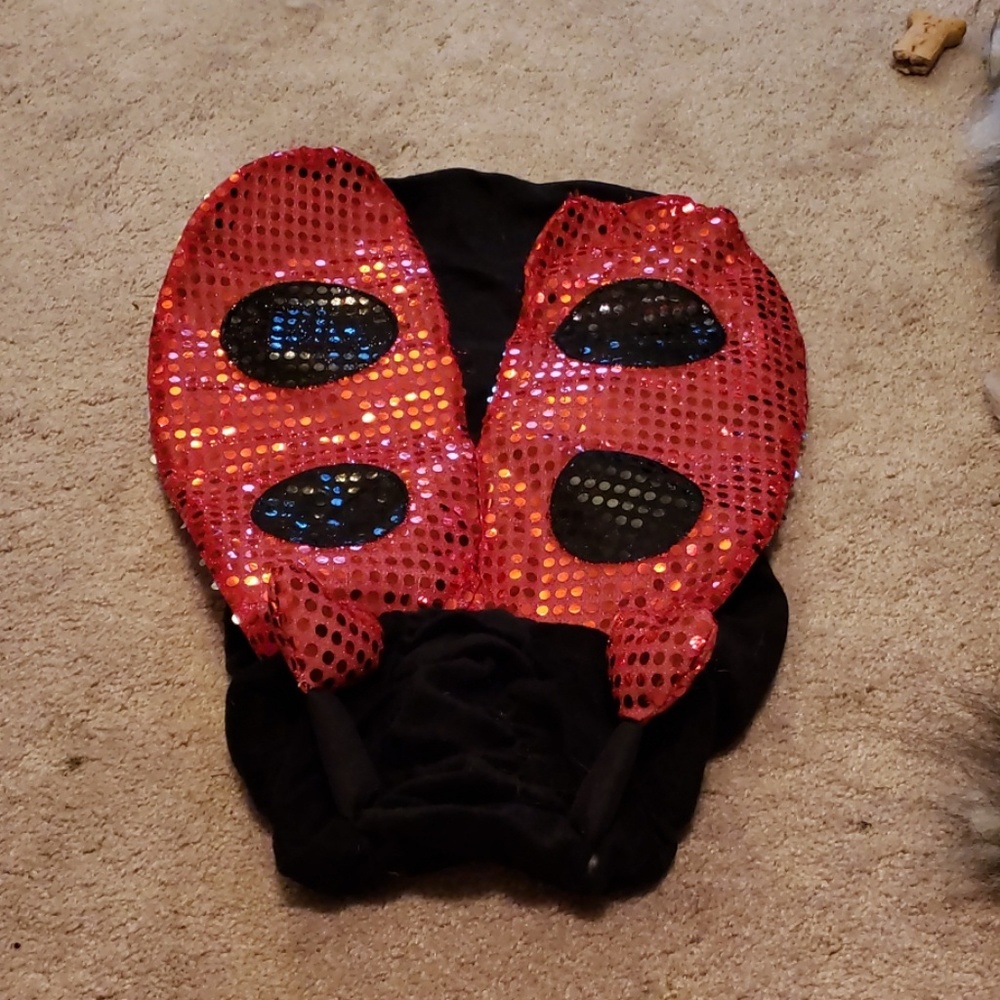 Ladybug halloween costume for dogs, L